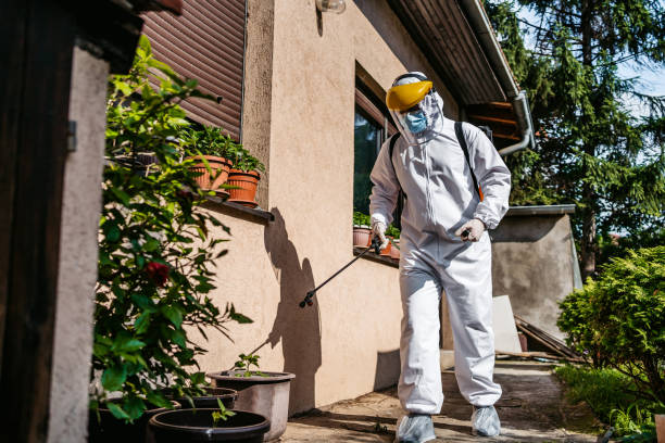 Best Affordable Pest Control Services  in Jasper, IN
