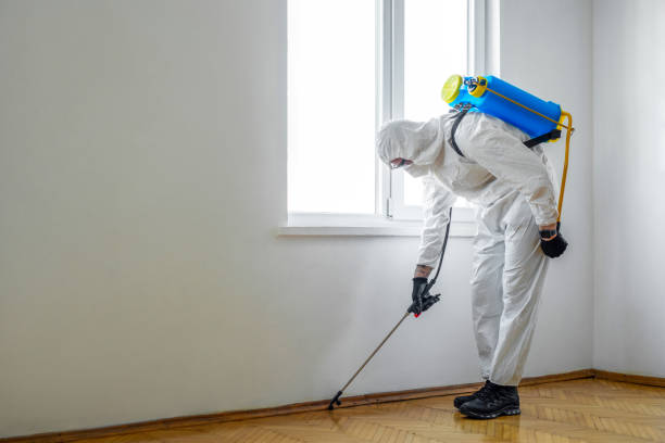 Wasp Removal Services in Jasper, IN