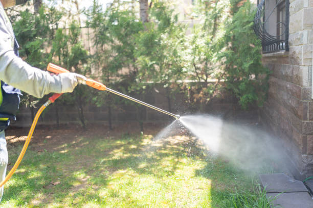 Best Wasp Removal Services  in Jasper, IN