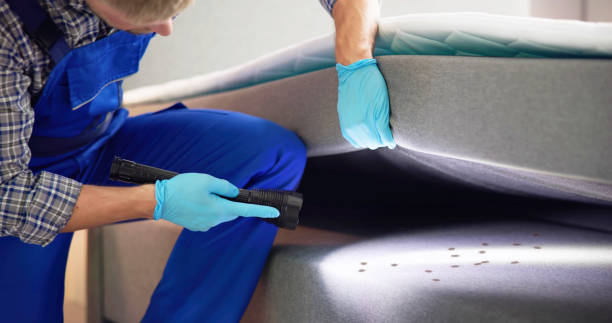Best Ant Control Services  in Jasper, IN