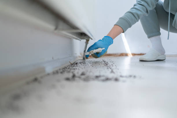 Best Pest Control Near Me in Jasper, IN